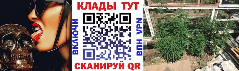 Наркота Видное ГАШ СОЛЬ МЕФ Псилоцибиновые грибы COCAIN