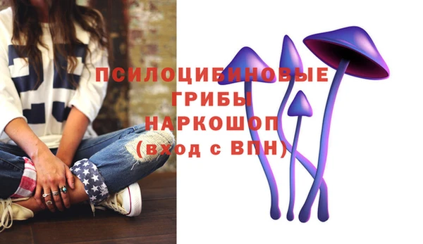 2c-b Аркадак