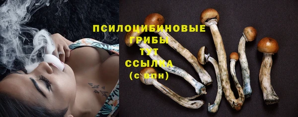 молекула духа Армянск